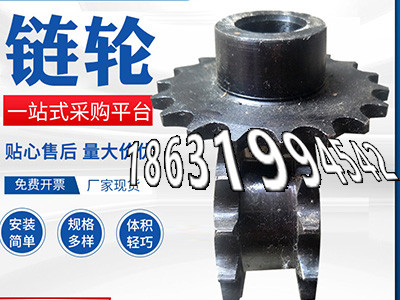 定制齿轮那里好